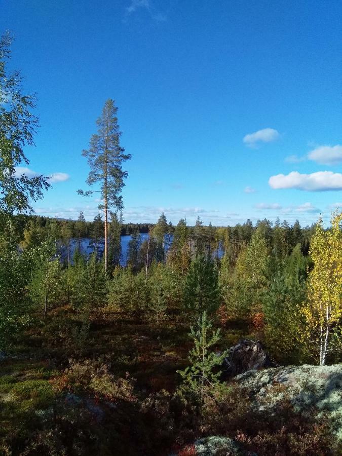 Nilsiä Villa Tiirinkallio מראה חיצוני תמונה