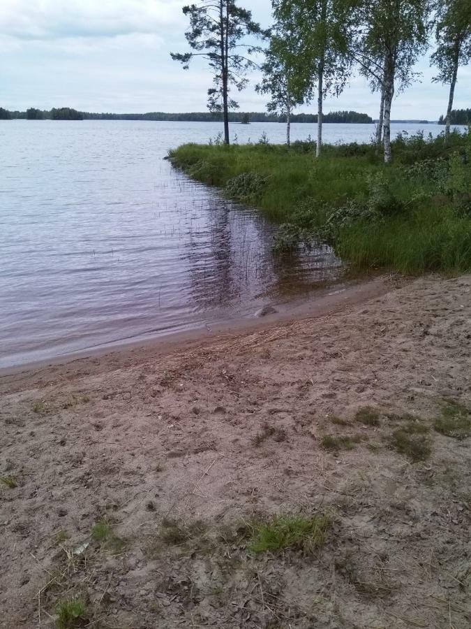 Nilsiä Villa Tiirinkallio מראה חיצוני תמונה